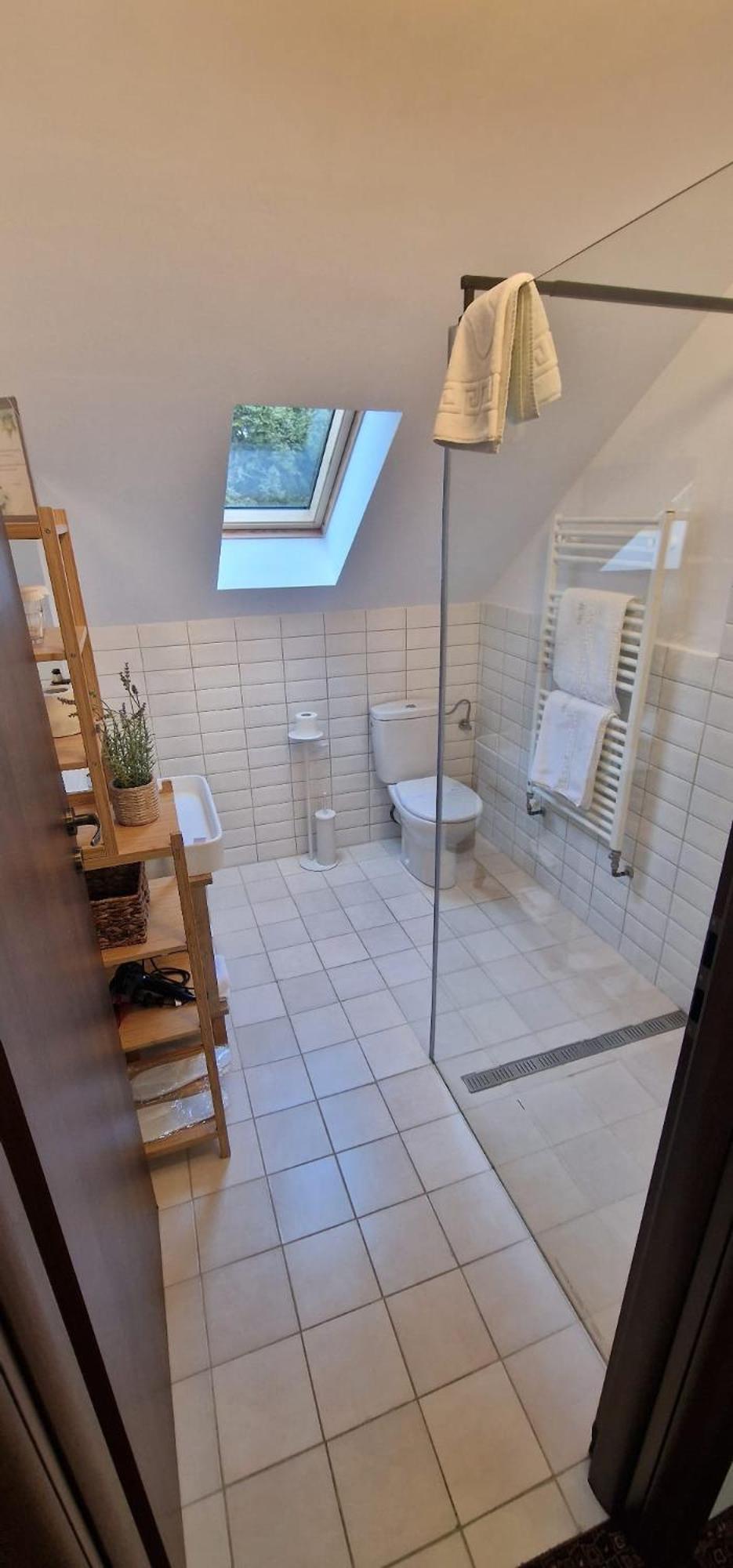 Opus Villa Sinaia Kültér fotó Bathroom with shower